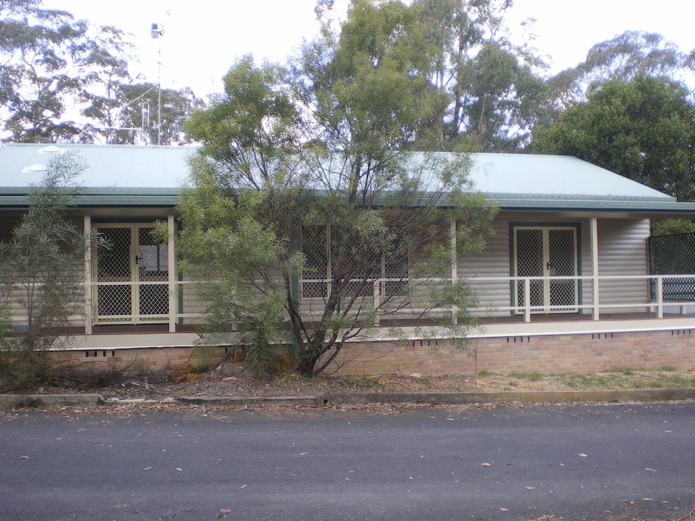 Photo 11