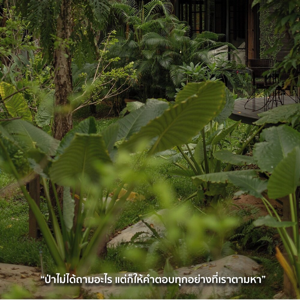 Sanctuary Kanchanaburi