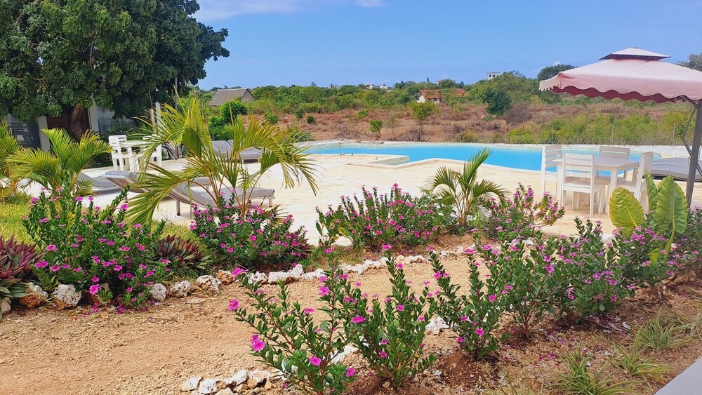 Photo 33
