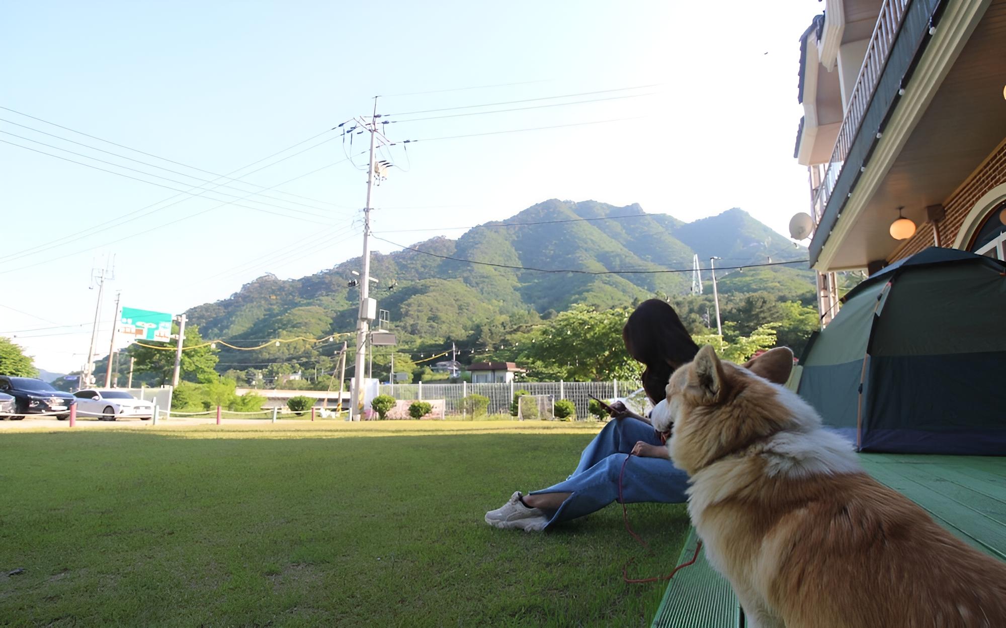 Photo 40