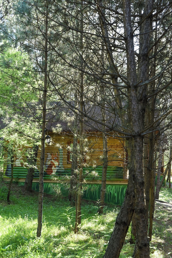 Photo 20