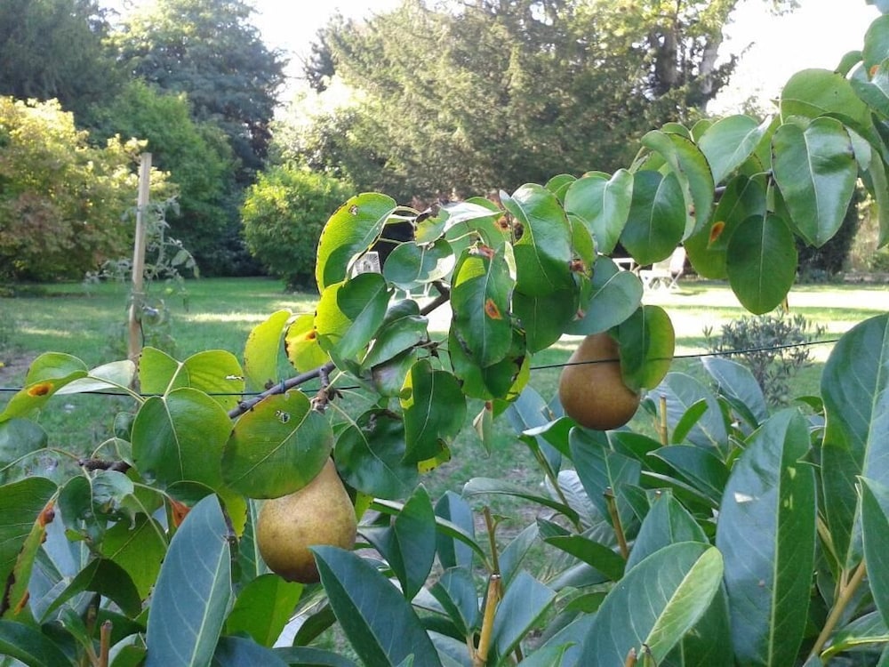 B&B La Héraudière