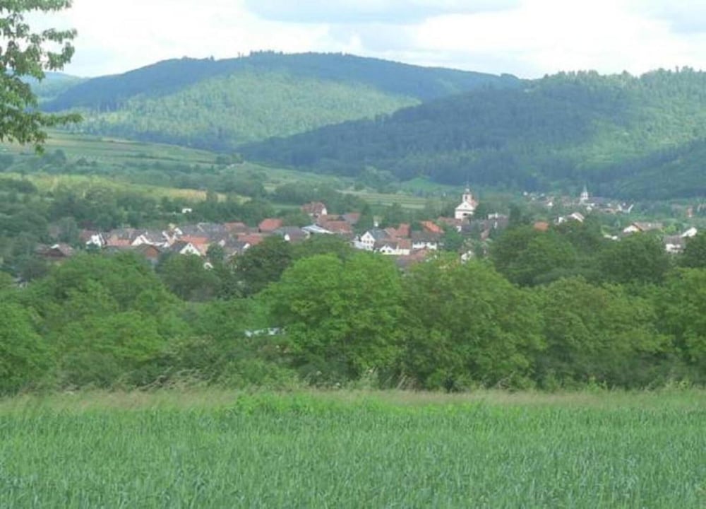 Apartment in Herbolzheim