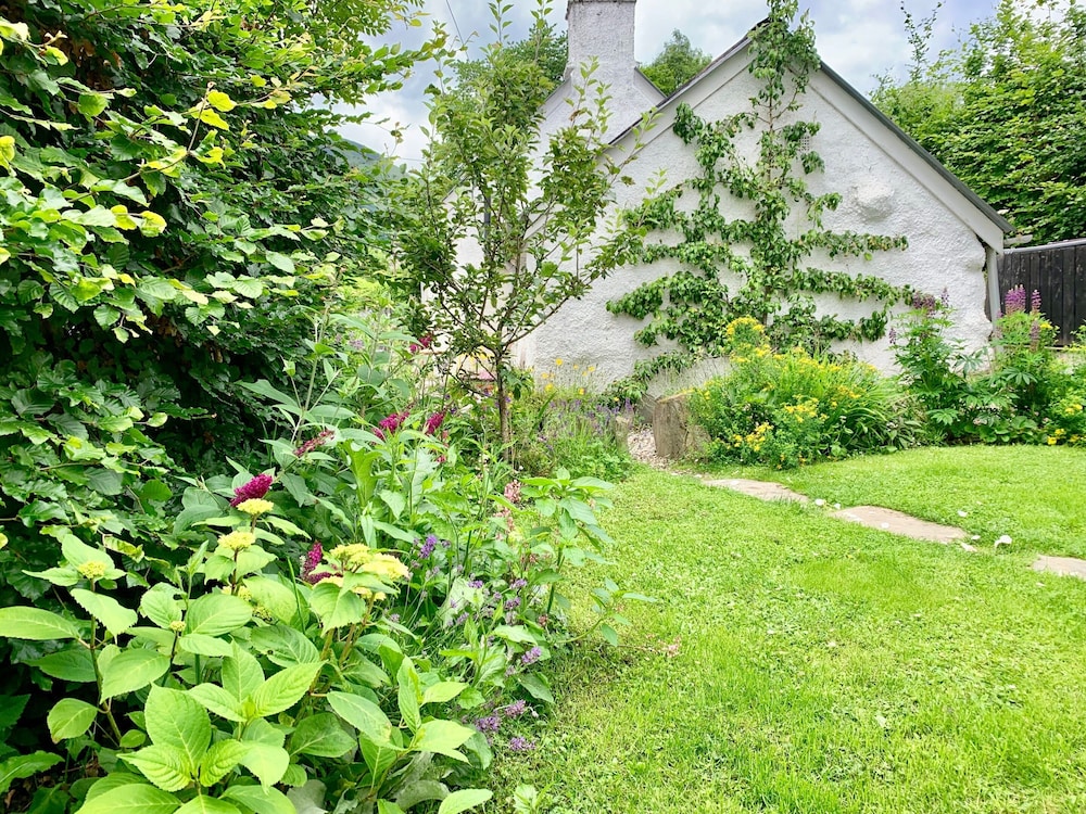 Wester Auchraw Croft B&B