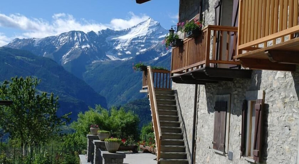 Le Vieux Noyer