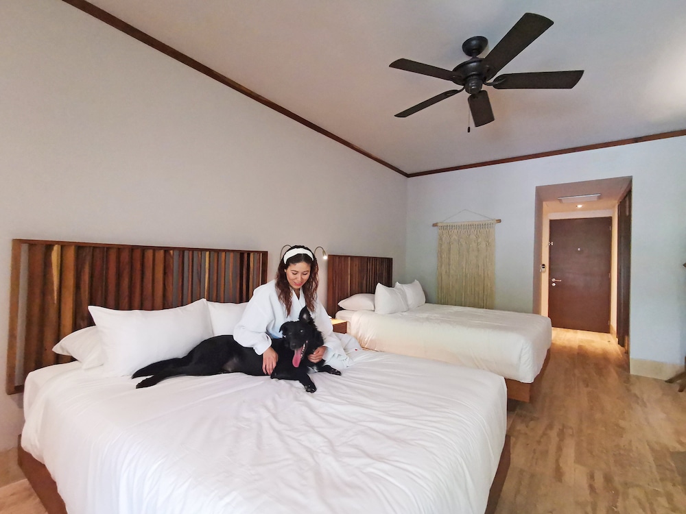 Kimpton Aluna Tulum, an IHG Hotel - Property Image 168