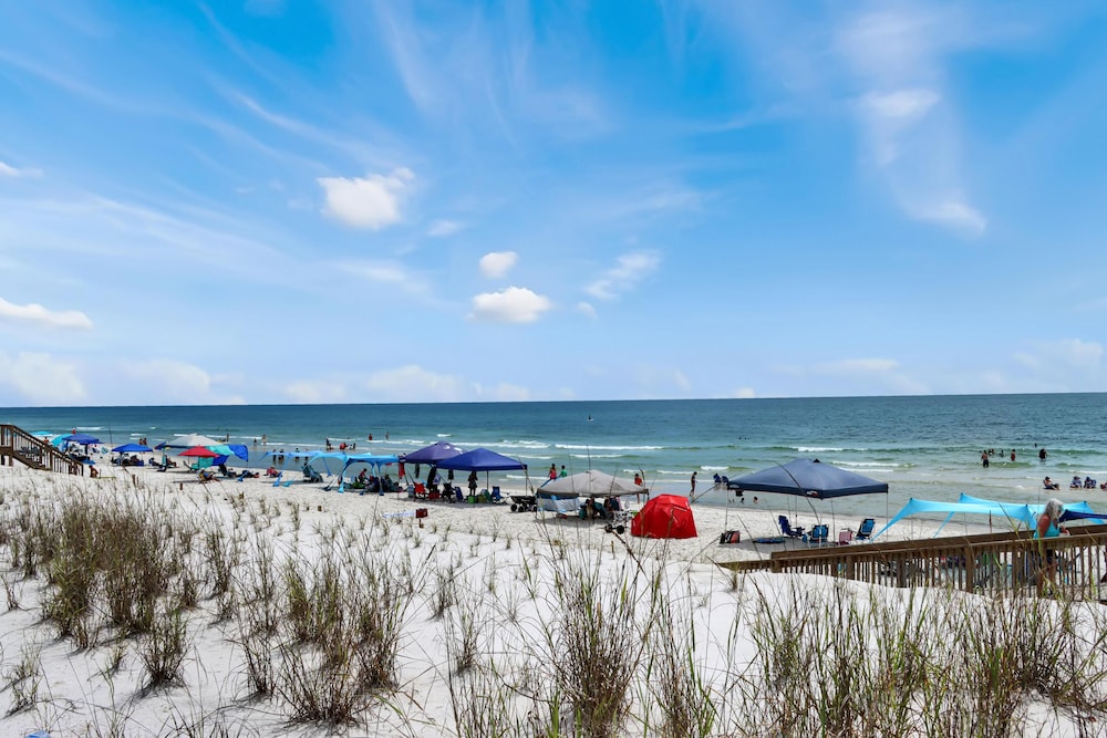 Barrier Dunes 156 - 11 Sand Dollar Dreams