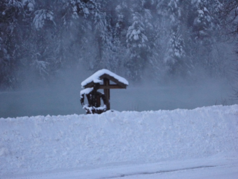 Likely Lodge