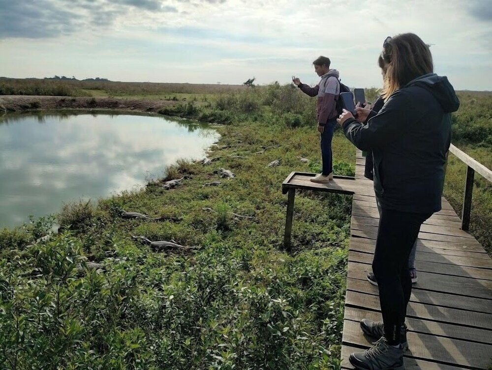 Wild Wetlands Lodge