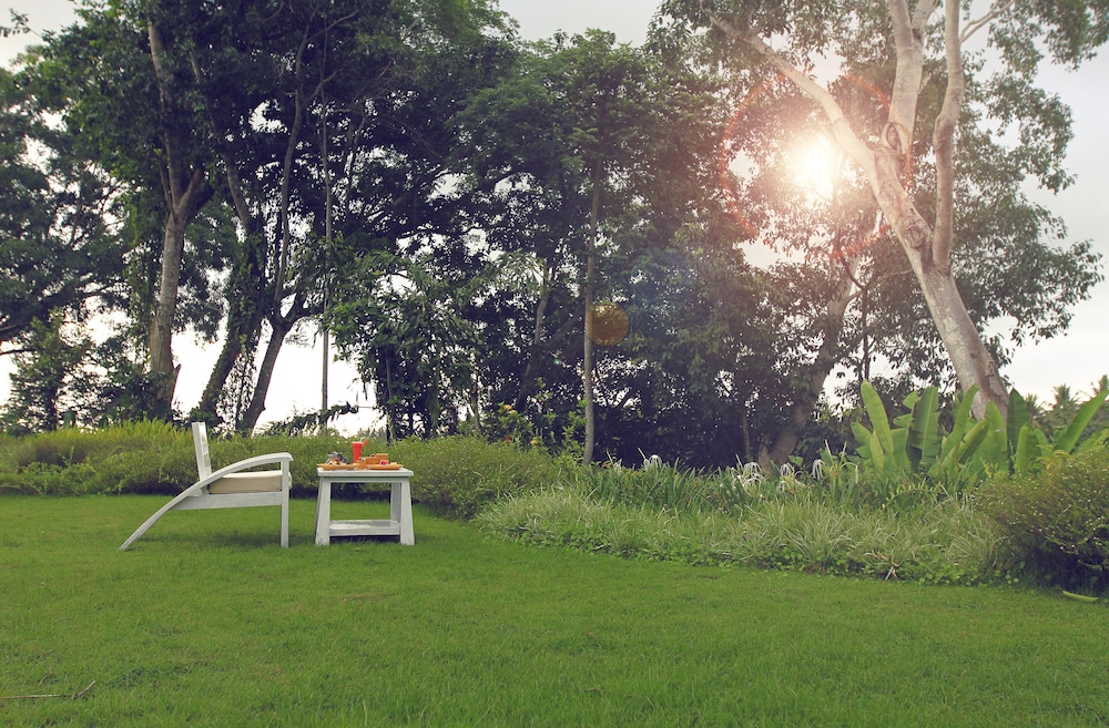 The Hidden Paradise Ubud