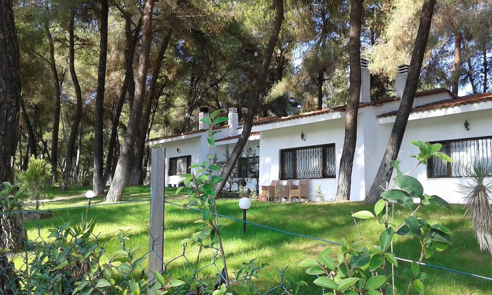 Family Villa in Sani - Sleeps 6 - Parking - Wifi view 3