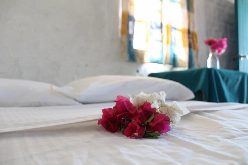 Somar Surf camp & Lodge