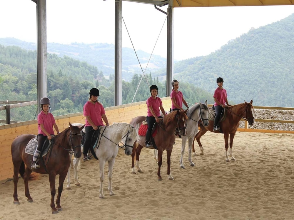 Farmhouse With Stables, Horses and the Ability to Make Horseback Riding