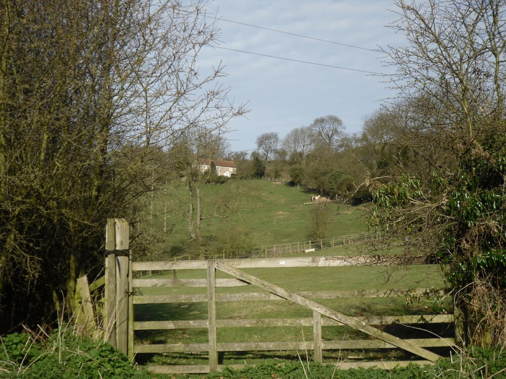 Photo 11