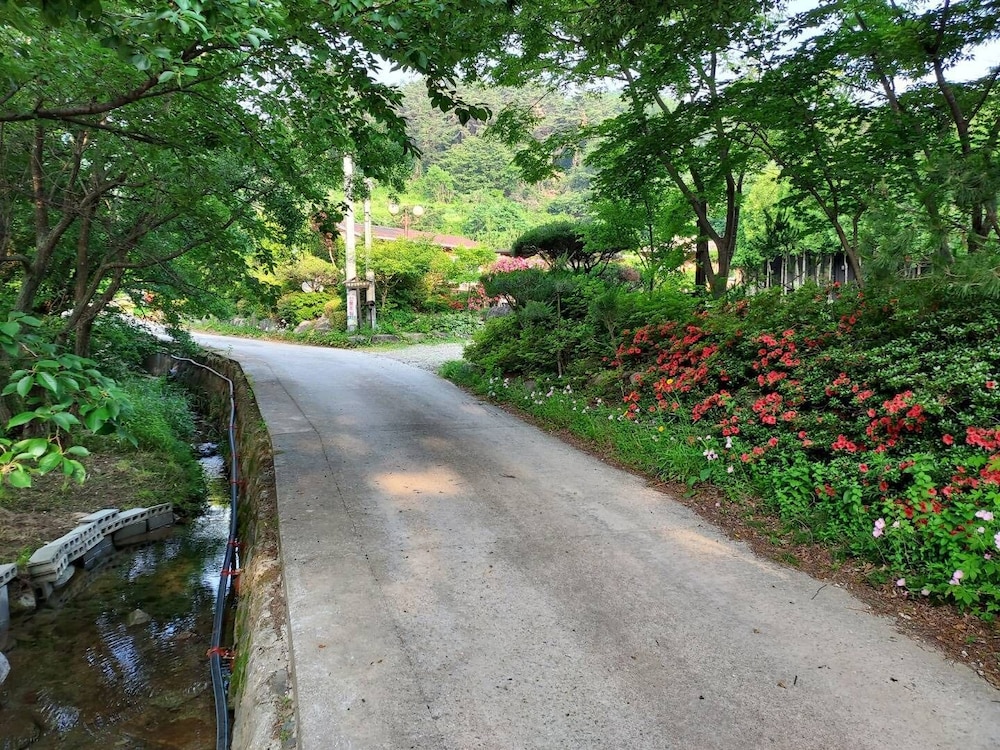 Red Clay Pension view 3