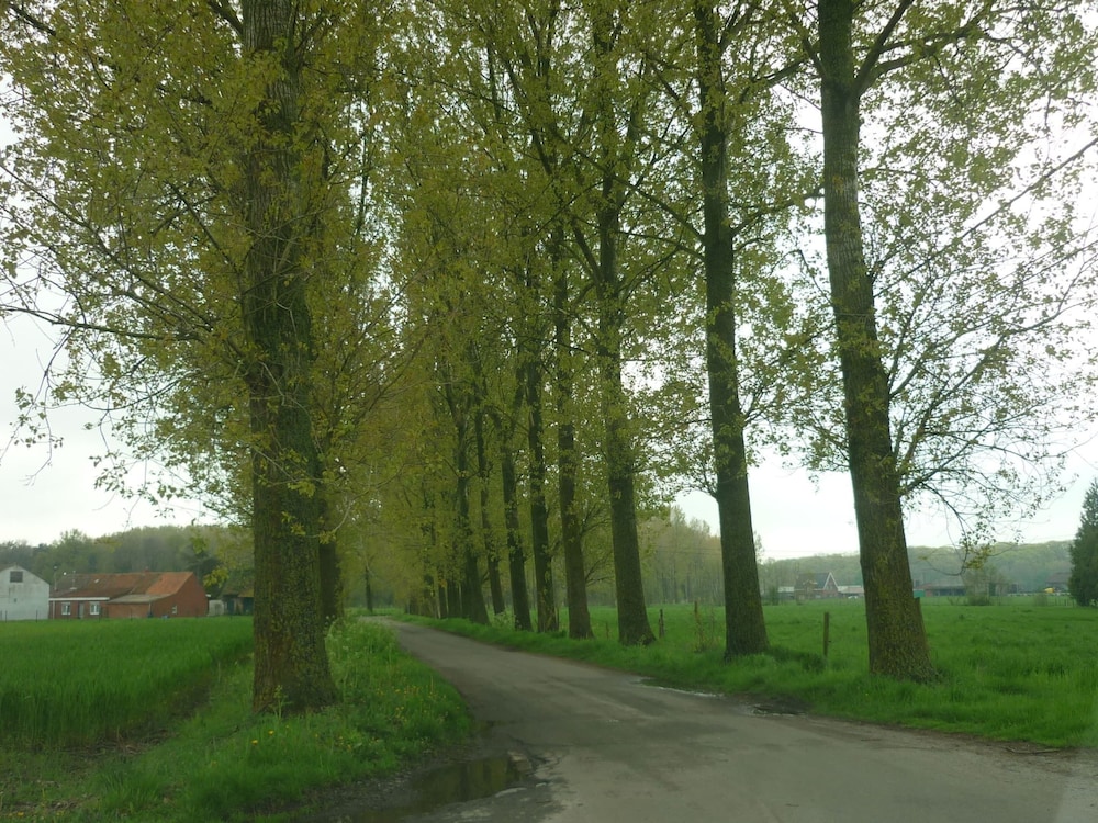 Photo 13