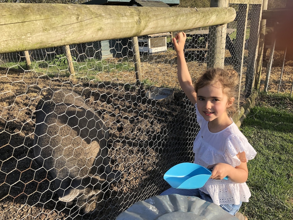Willow Court Farm