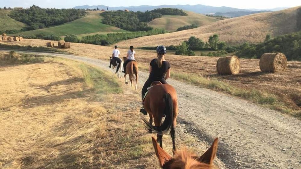 Agriturismo Podere Diacceroni