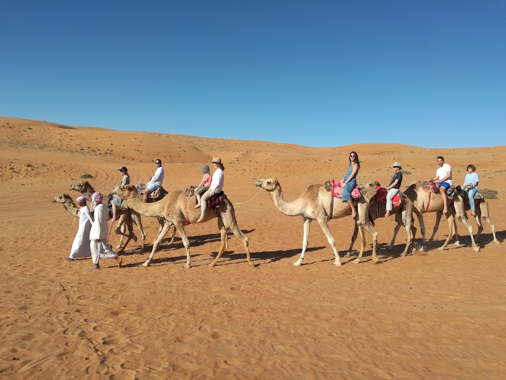 Sand Delight Desert Camp