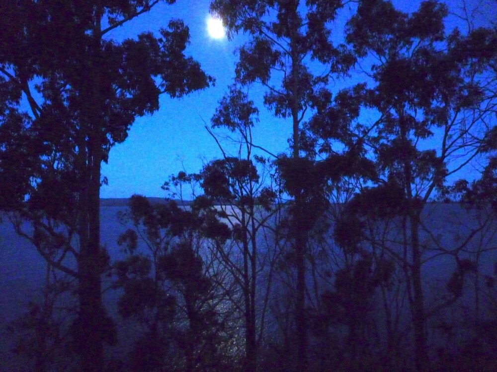 Bruny Island Varuna