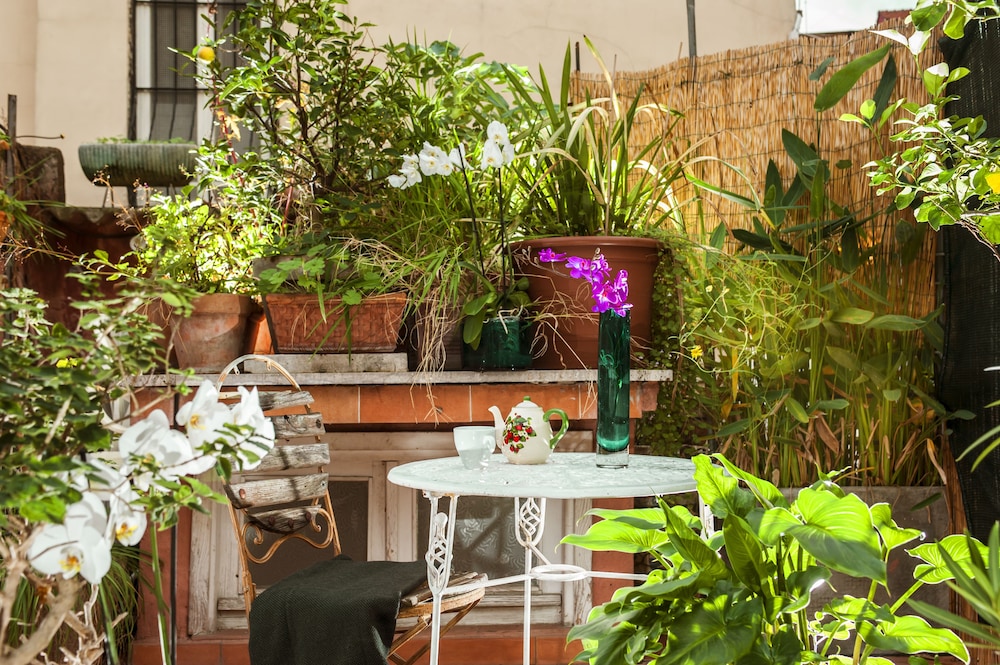 Terrace Suite Campo dè Fiori