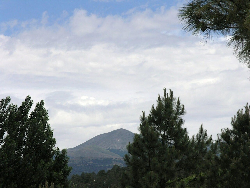 Photo 29