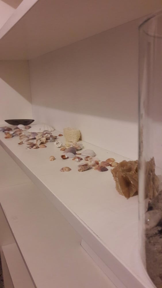 Centrum Rooms