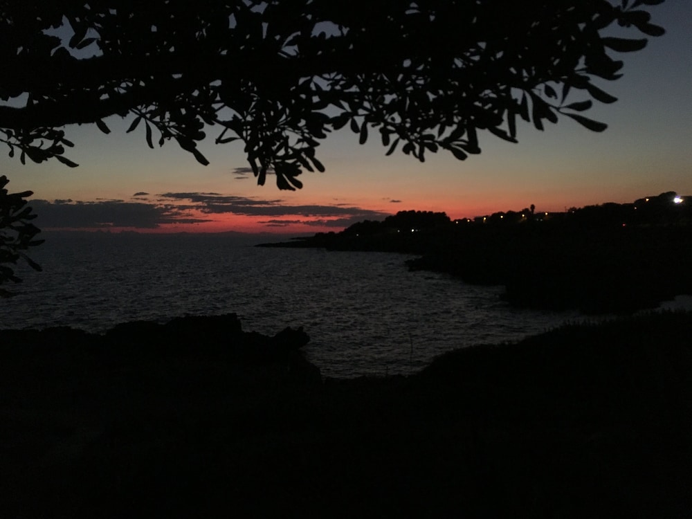 Villa Elisa B&B, photo 42