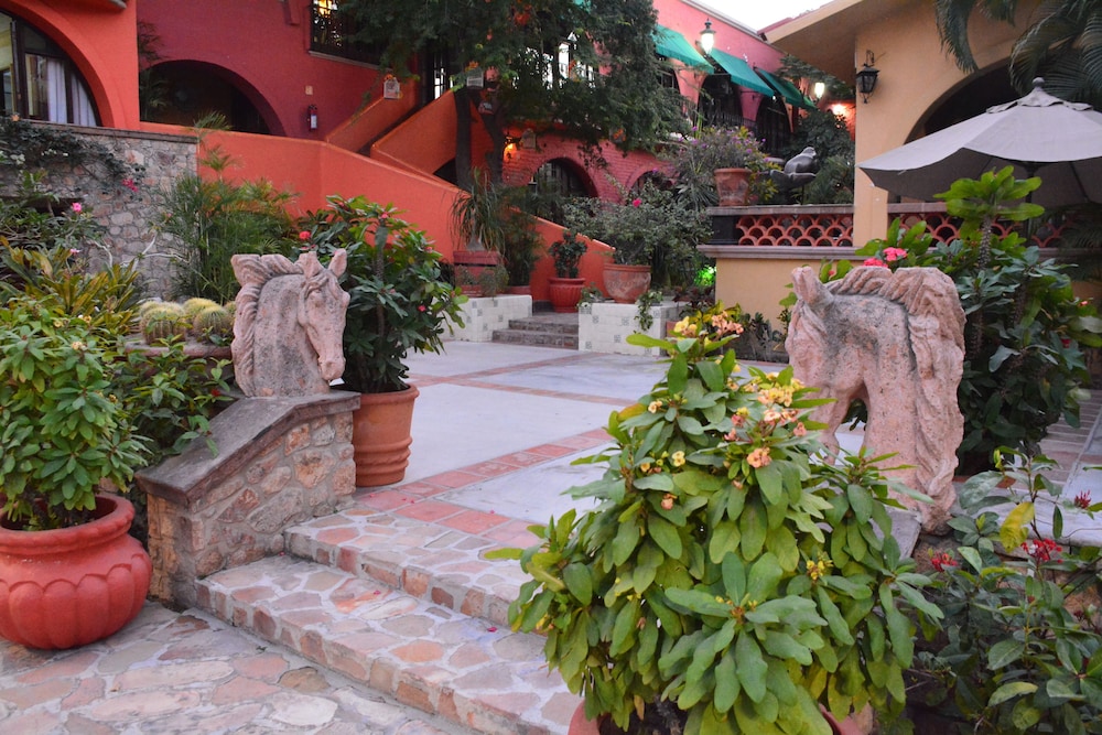 Collection O Casa Bella Hotel Boutique, Cabo San Lucas