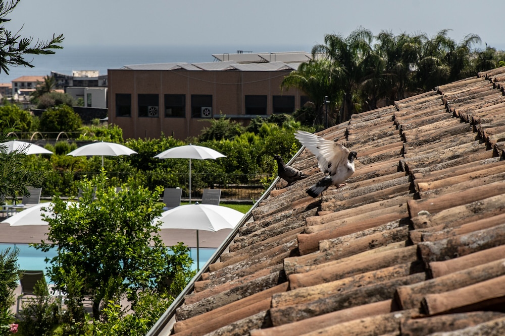 roof