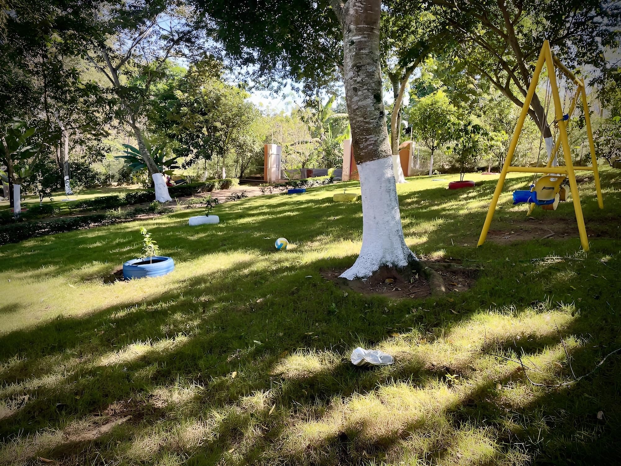 Photo 25