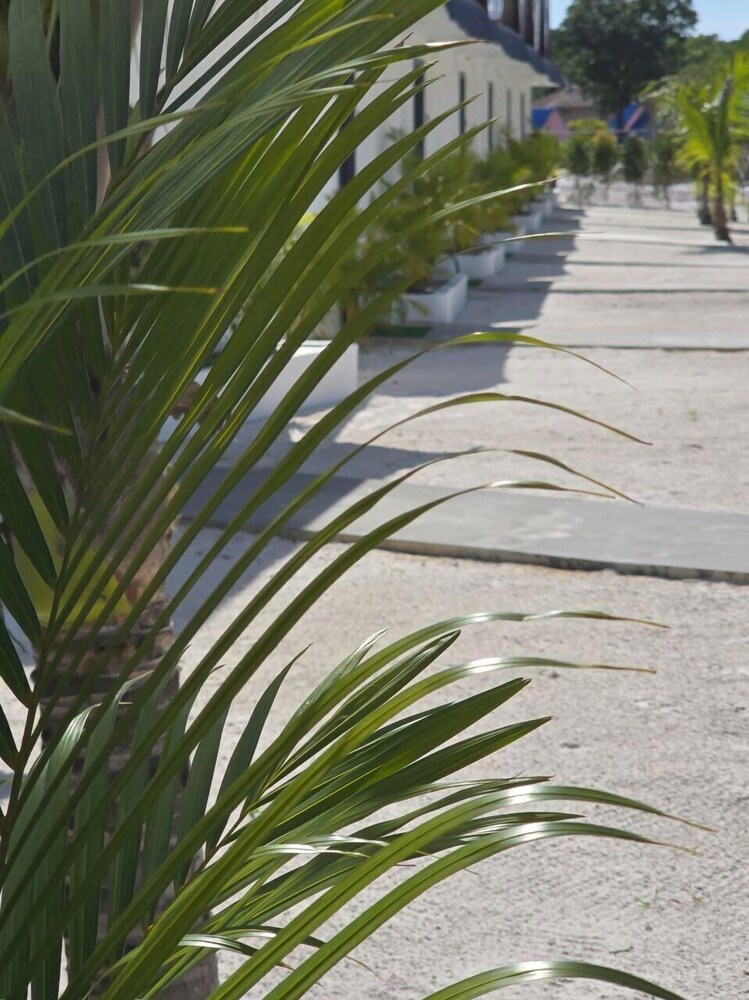 WHITE BEACH RESORT LONGSET