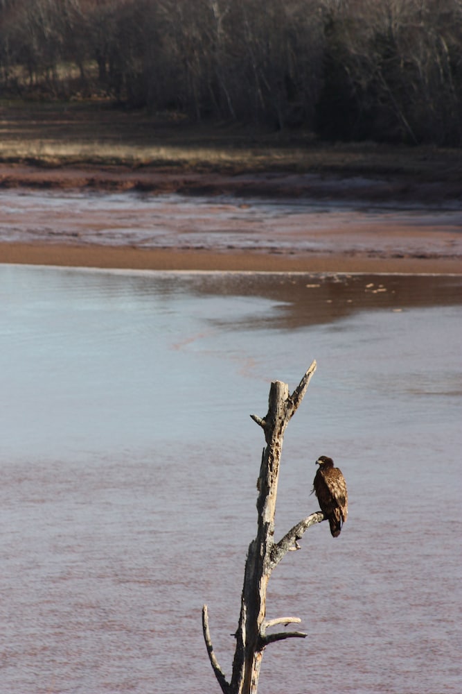 Tidal Bore Rafting Resort