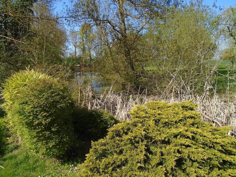 Photo 28