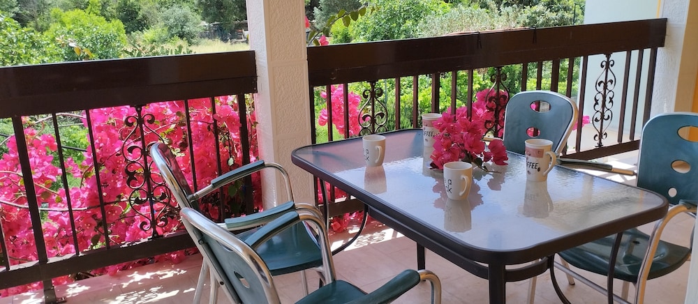 Corfu Dream Fani