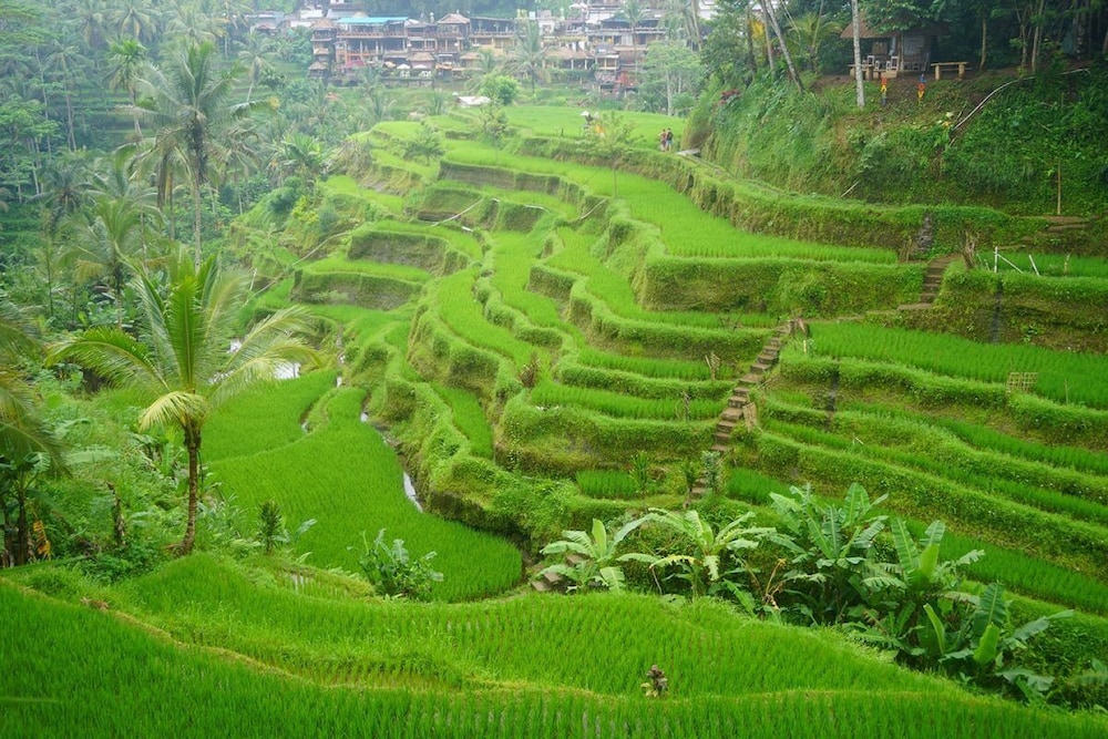 Hillside Eden Bali