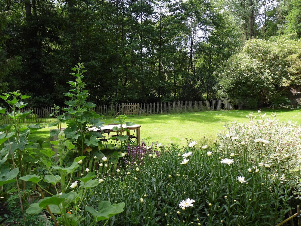 Photo 20