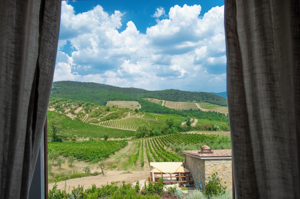 Villa Chianti With Panoramic Pool On The Vineyard