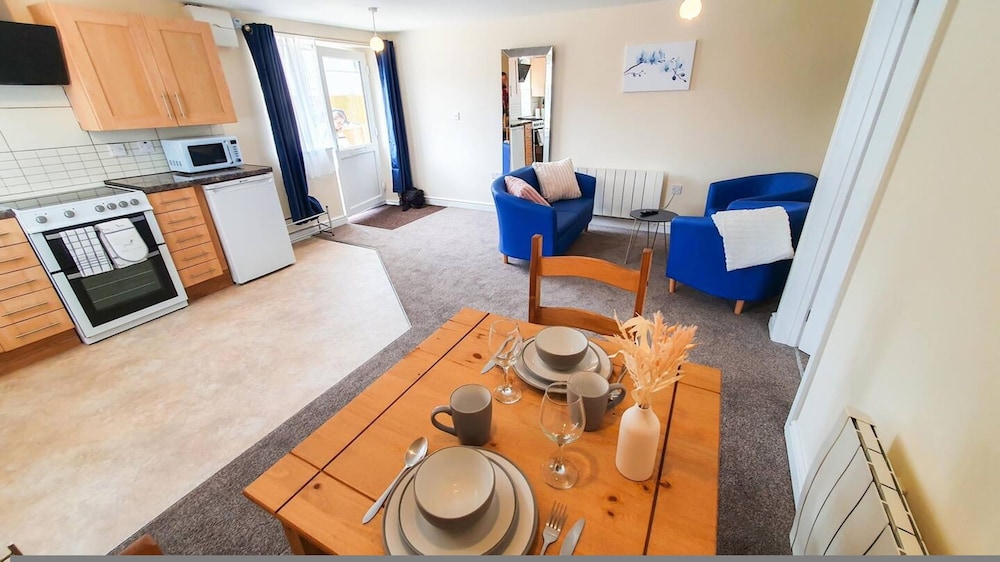 Blue Orchid in Stroud