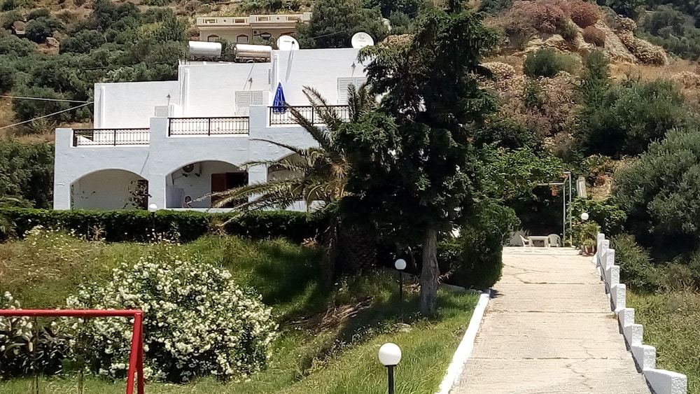 Photo 8