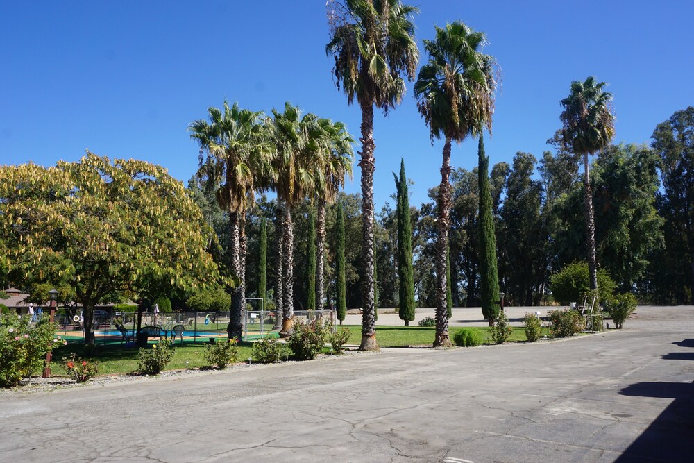 Willows Vacations - Blue Gum Motel - Property Image 2