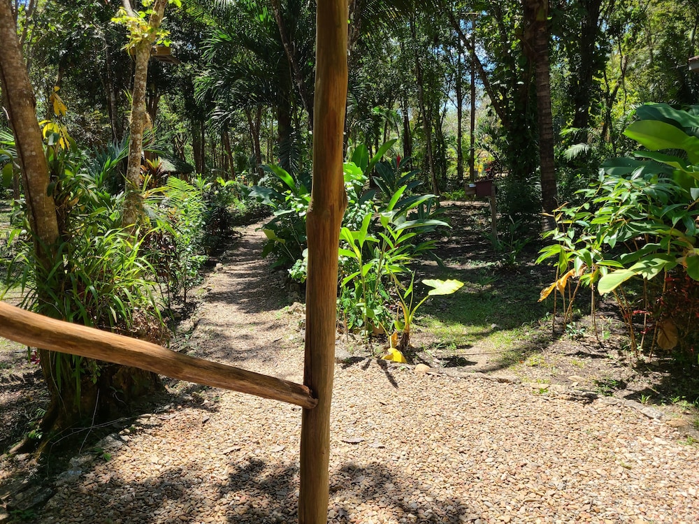 Belize Vacations - The Cabins at Monkey Fall - Property Image 5