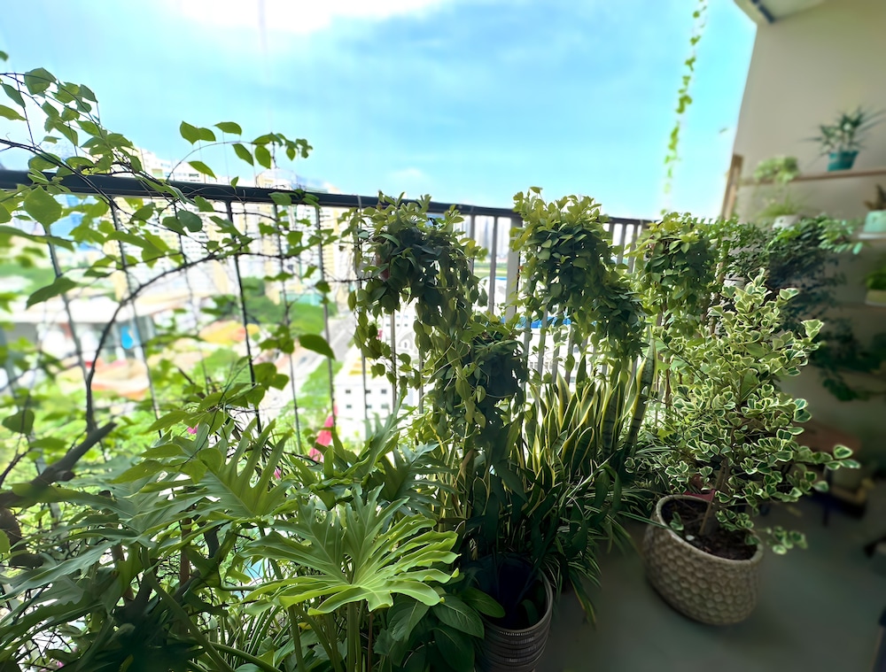 Vinhomes D'Capitale - Quylodge