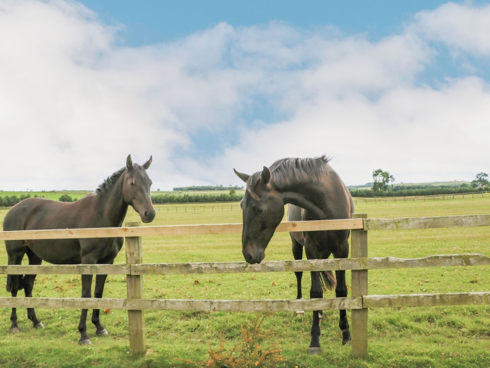 The Byre