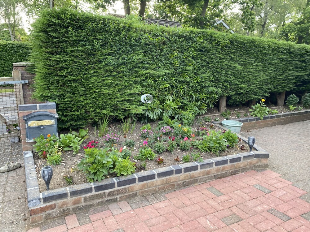 Photo 18