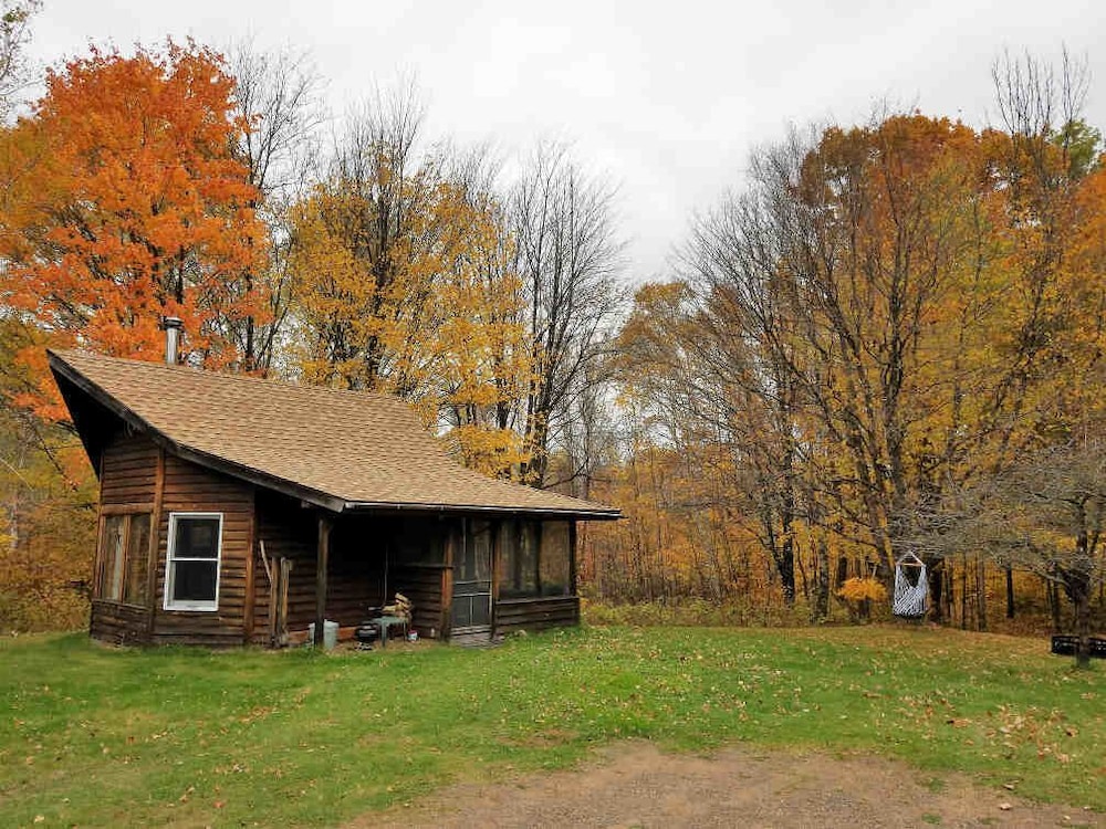 Shire In The Woods