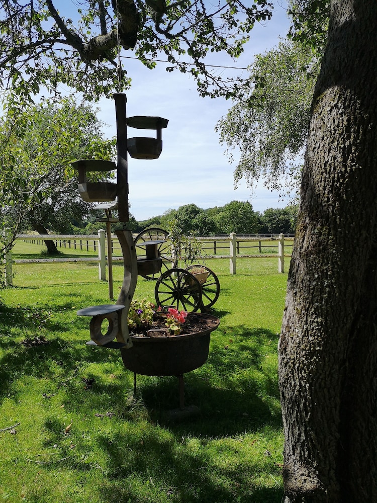 Photo 42