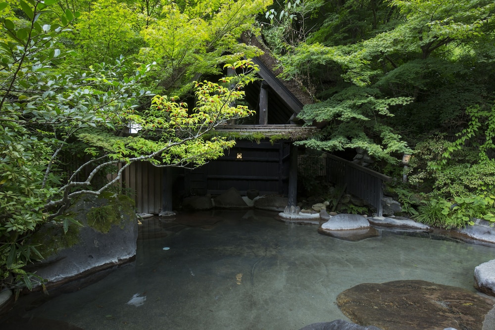 Photo 43