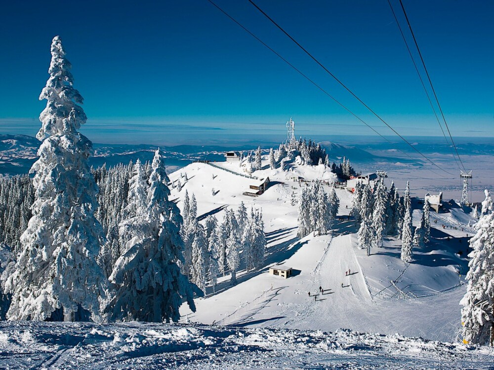 Alpin Aparthotel 2302