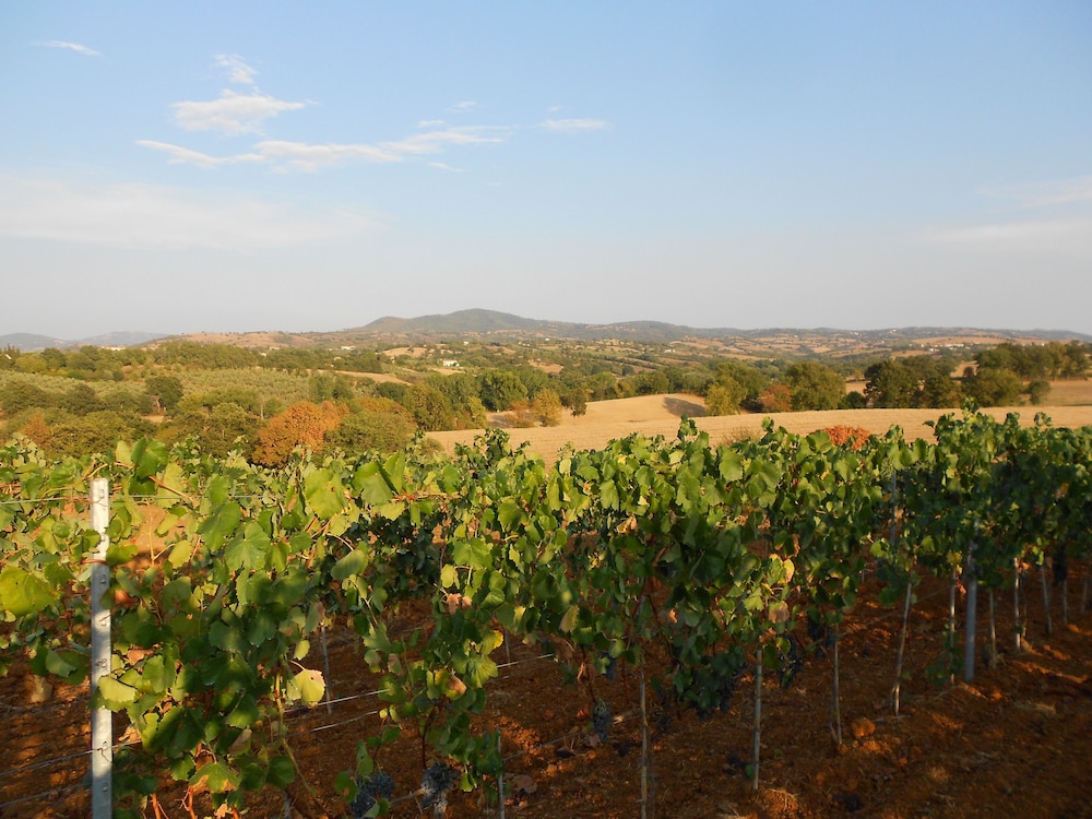 Agriturismo I Casamenti view 3